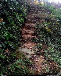 Photo by _Kyra_ | Clear Fork  steps, mountain, rain, water, mountain